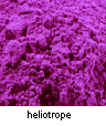 heliotrope